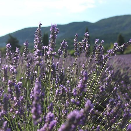 Gites Les Costoliers Châteauneuf-Miravail Eksteriør bilde